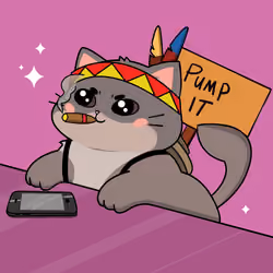 Bonito Catito #1446