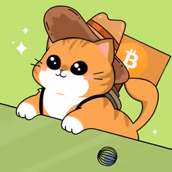 Bonito Catito #1551