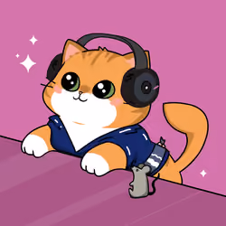 Bonito Catito #82