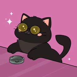 Bonito Catito #3474