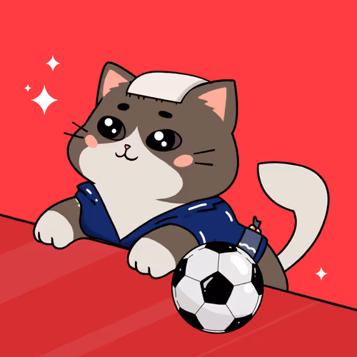 Bonitocatito