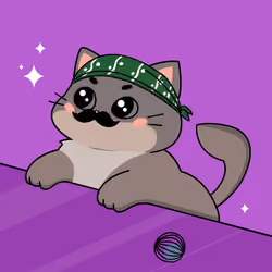 Bonito Catito #4654