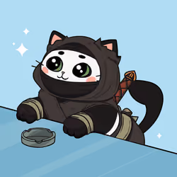 Bonito Catito #55