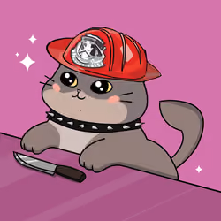 Bonito Catito #586
