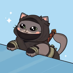 Bonito Catito #276