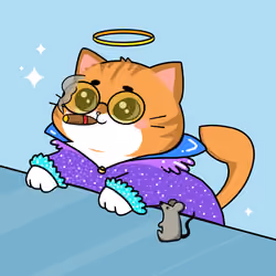 Bonito Catito #4677