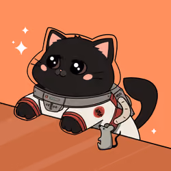 Bonito Catito #4503