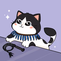 Bonito Catito #533