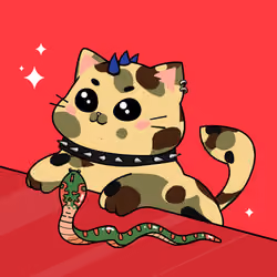 Bonito Catito #1376