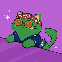 Bonito Catito #1701