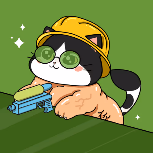 Bonitocatito