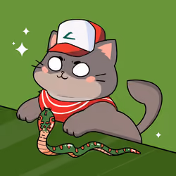 Bonito Catito #1438
