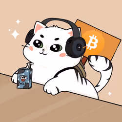 Bonito Catito #4666