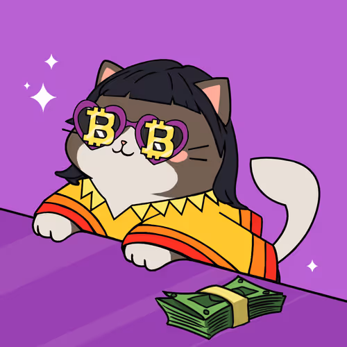 Bonitocatito