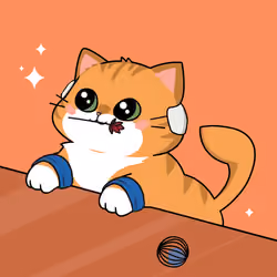 Bonito Catito #2448