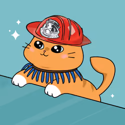 Bonito Catito #2806