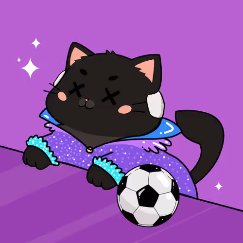 Bonitocatito