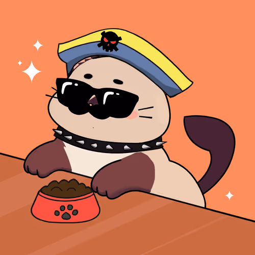 Bonitocatito