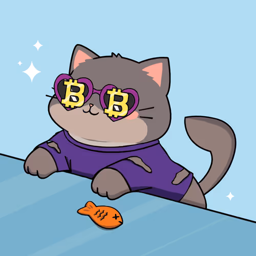 Bonitocatito