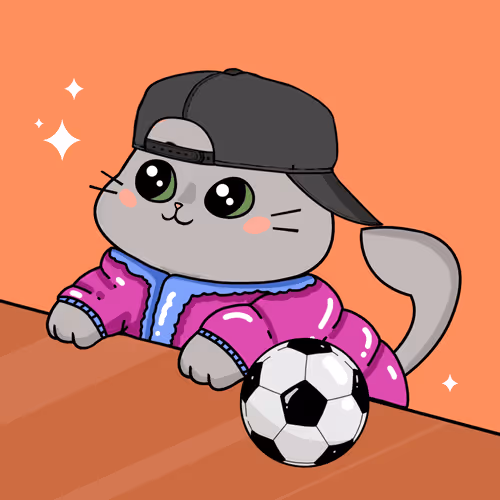 Bonitocatito