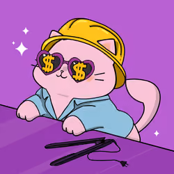 Bonito Catito #1382