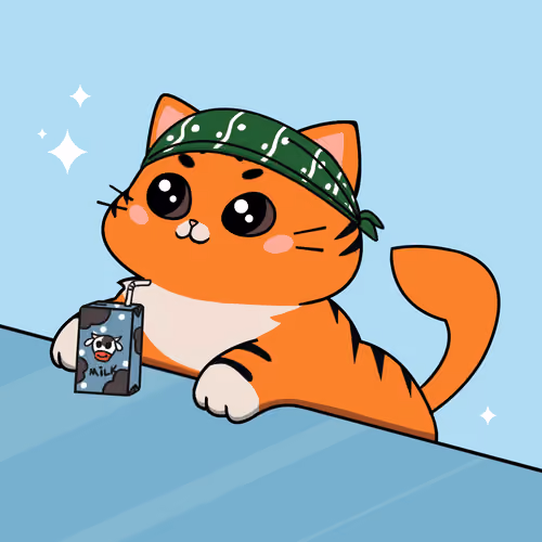 Bonito Catito #66