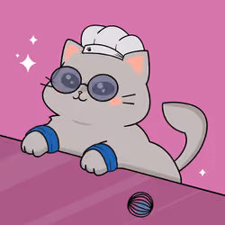 Bonito Catito #1204