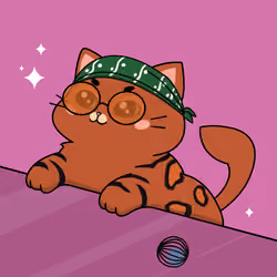 Bonito Catito #4152