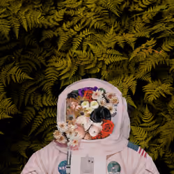 Flowernaut