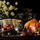 Crypto Still Life  Composition