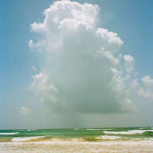 31thirtyone Editions