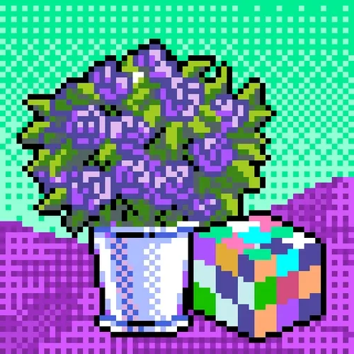 Dreamloops
