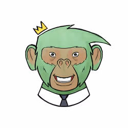ApeOnly#894