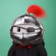 5596