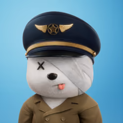 3D Bear #884