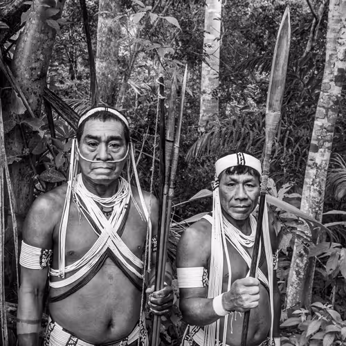 Amazonia Sebastiao Salgado