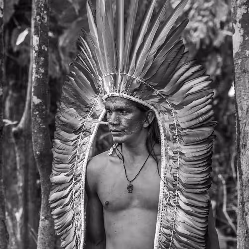 Amazonia Sebastiao Salgado