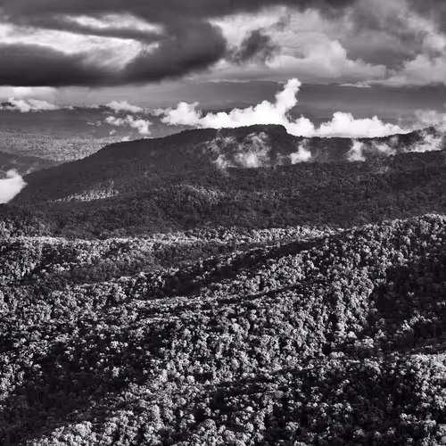 Amazonia Sebastiao Salgado
