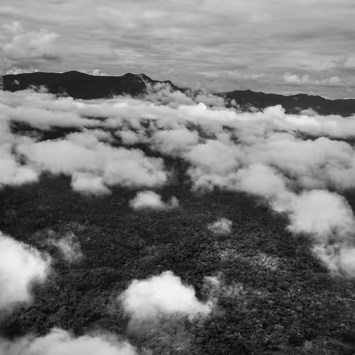 Amazonia Sebastiao Salgado