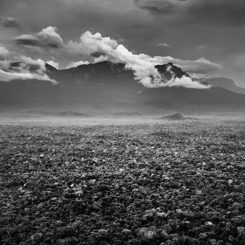 Amazonia Sebastiao Salgado