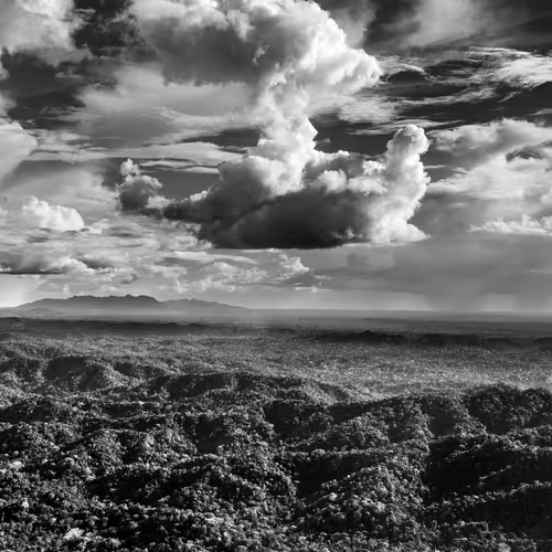 Amazonia Sebastiao Salgado