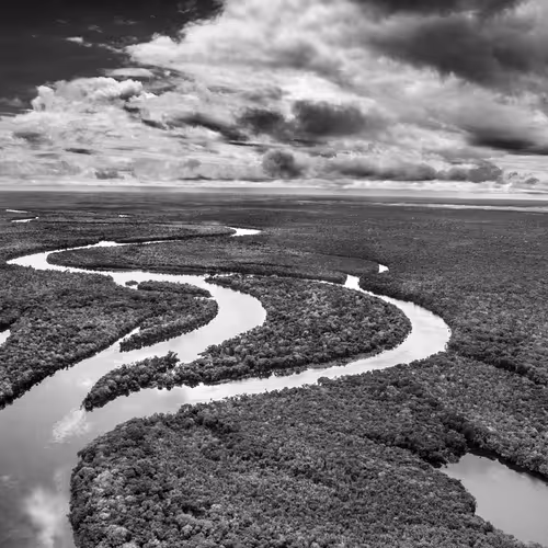 Amazonia Sebastiao Salgado