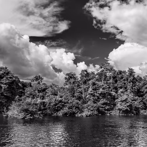 Amazonia Sebastiao Salgado