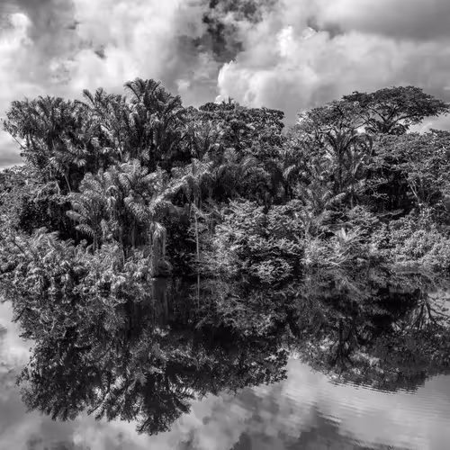 Amazonia Sebastiao Salgado