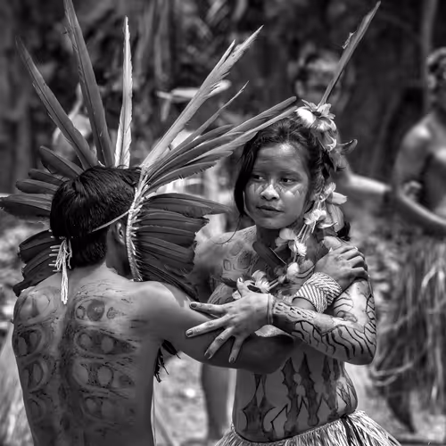 Amazonia Sebastiao Salgado