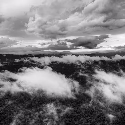 Amazonia Sebastiao Salgado
