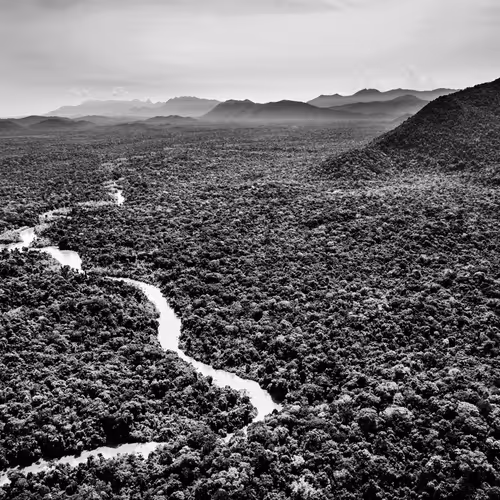 Amazonia Sebastiao Salgado