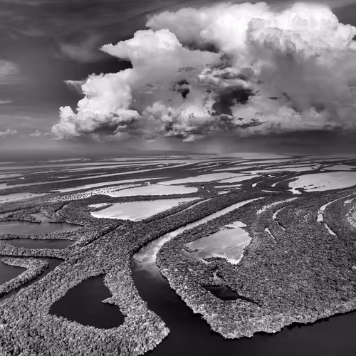Amazonia Sebastiao Salgado