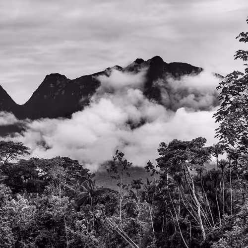 Amazonia Sebastiao Salgado