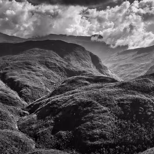 Amazonia Sebastiao Salgado